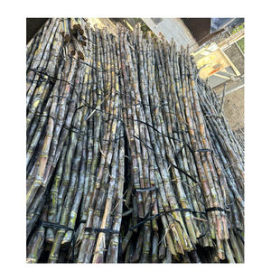 Les meilleures ventes de produits de canne à sucre congelés - Product Image 2