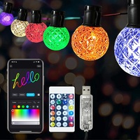 RGB G40 Globe Ampoules Patio Guirlande Lumineuse Musique Extérieure Sync APP Télécommande Dimmable Festoon Guirlande Lumineuse Garden Party Holiday Decor