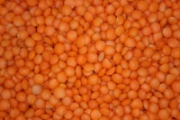 Lentilles rouges séchées, procédé AD, emballage en vrac, provenance Thaïlande Bangkok, 1 kg, durée de conservation de 2 ans