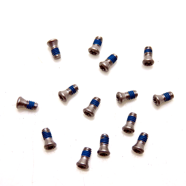 Micro Nuts and Bolts for Jewelry Screw Manufacturing Mini Torx Miniature Stainless Steel Micro Screws