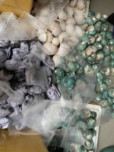 เปลือกเทอร์โบสีเขียวแบบเกลียวพรีเมี่ยมเหมาะสำหรับการตกแต่งภายในในรูปแบบทะเล - Product Image 4