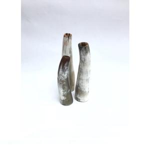 Buffalo Horn Flower Pot <b>for</b> Home & <b>Wedding</b> Banquet Handmade With Excellent polished Hot Sale Home Decor - Product Image 1