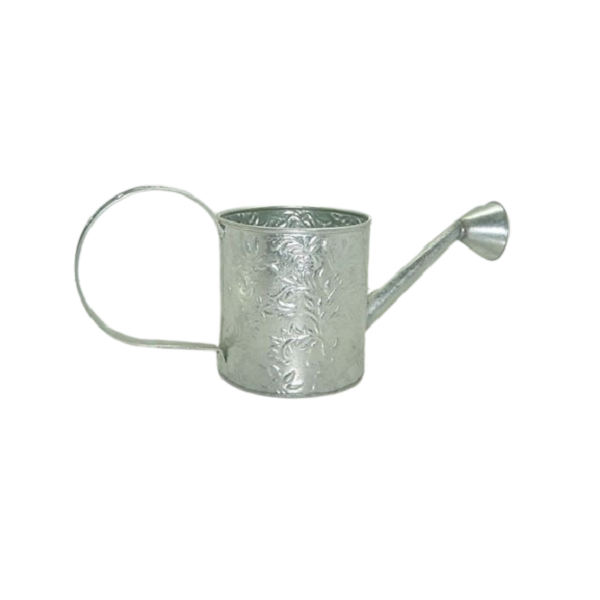 แสดงภาพ