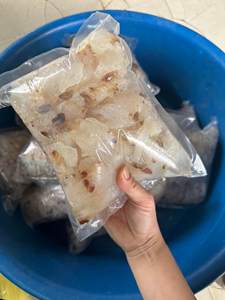 SUMINISTRO A GRANEL DE Medusas saladas Medusas sazonadas - Product Image 4