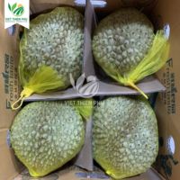 VIET THIEN PHU-VIETNAM IQF diepvriesduriëns, bulk, hoge kwaliteit, beste prijs