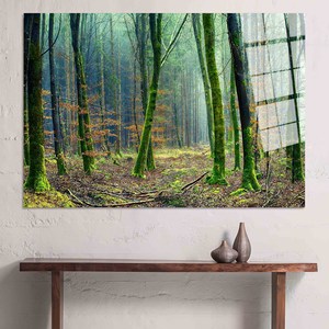 Elegante Lienzo Decorativo con Impresión de Paisaje Forestal en 3D, Arte en Vidrio Templado - Product Image 1