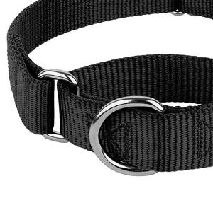 Collier d'entraînement pour chien en nylon double couche robuste 2026 avec anneau en O et surpiqûres, personnalisable - Product Image 5