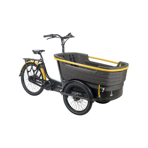Tricycles à bas prix pour le transport de marchandises, organisés pour les achats en gros avec un support d'expédition fiable - Product Image 1