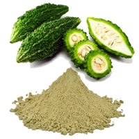 Poudre de melon amer premium du Vietnam pour compléments alimentaires, contrôle de la glycémie, thés et aliments fonctionnels, sac en vrac OEM