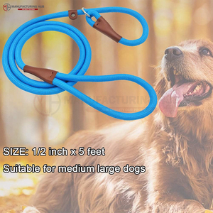 Laisse pour chien en cuir faite à la main, laisse pour animaux de compagnie, étiquettes personnalisées pour chiens, Wds-0029 avec accessoires en laiton massif dorés, cuir pour colliers de chien - Product Image 5