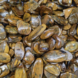 Nelita Natural al por Mayor, Cabujón Amarillo y Grisáceo, Formas Mixtas de 20-40mm, 10-20g, Gemas Sueltas para Joyería de Colgantes/Collares - Product Image 5