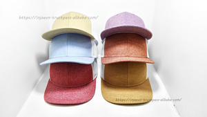 Color personalizado al por mayor gorra de camionero en blanco de fabricante de alta calidad en Vietnam forma estructurada gorras deportivas de 6 paneles - Product Image 6