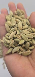 Cardamomo verde orgánico puro 100% directamente de granjas agrícolas de Tanzania - Product Image 6