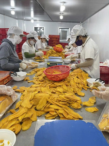 Mango suave seco para postres rico en sabor agrega dulzura a las golosinas ideales para exportación y uso en la industria alimentaria - Product Image 5