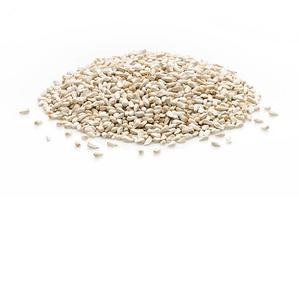 Semillas de Cártamo Blanco Secas Cultivadas en India, Cultivadas Salvajes a Precio Mayorista - Product Image 1