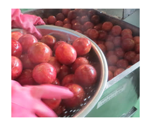 เยื่อเสาวรสแช่แข็งแบบมีเมล็ดหรือน้ำซุปข้นไร้เมล็ดราคาส่งจากเวียดนาม - Product Image 6