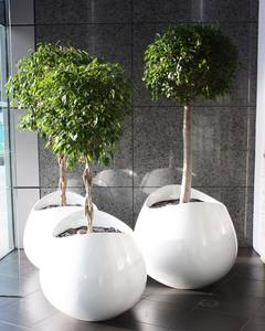 Di alta qualità grande FRP (fibra di vetro) <span class=keywords><strong>fioriera</strong></span> <span class=keywords><strong>fioriera</strong></span> Design classico per la casa giardino esterno vivaio artificiale - Product Image 4