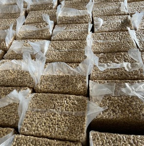 Hoge Kwaliteit Ruwe Cashewnoten Gedroogde Kernel Noten Verwerkt Goede Prijs Alle Maten Inclusief W180 W240 W320 W450/Vacuüm Zak/Anna Do