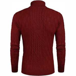 Suéter informal de poliéster con cuello levantado para hombre con cremallera, logotipo personalizable, decoración de patrón frontal de temporada de invierno - Product Image 2