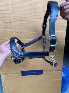 Cheval licou en cuir - Product Image 5