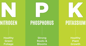Fertilizante de nitrógeno de urea 46% de alta calidad, bolsa recubierta de polímero de caprolactama, estados de cristal prilled, modelo Urea N46 suministrado - Product Image 3