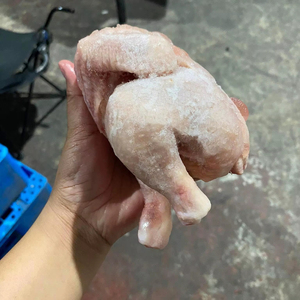 ไก่แช่แข็ง - Product Image 1