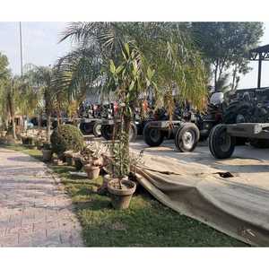 Tractor Massey Ferguson 375 al mejor precio para arado y labranza de suelos profundos equipado con un sistema hidráulico fiable - Product Image 3