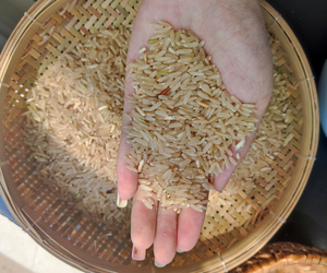 Hot Selling Premium Quality Vietnamese Red Healthy <b>Rice</b> Naturally Grown in Special Area <b>Rice</b> 5KG 10KG 25KG 50KG BOPP/PP/PAPE - Product Image 2