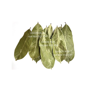 100% Hojas de Guanábana secas naturales 100% naturales de jardines mejor precio al por mayor para hacer té - Product Image 6