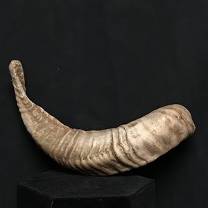 Cuerno de Shofar pulido con diseño de pez, decoración del hogar, cuerno de carnero, cuerno para beber para ungir, diseño de pez pintado a la venta - Product Image 2