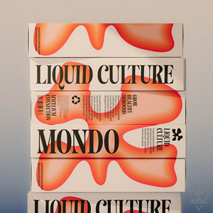 Caja de embalaje corrugado personalizada para vitamina C Retinol té de hierbas menta té verde hoja entera Ashwagandha bienestar Natural - Product Image 4