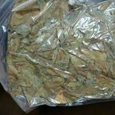 Hojas de Guanábana Secas Naturales de Alta Calidad de Vietnam - Bolsa de 5 kg, 2 Años de Vida Útil, Precio Competitivo y Muestra Disponible - Product Image 6