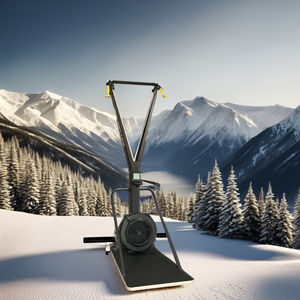 Attrezzatura da Palestra Macchina Cardio per Sci Allenamento Skierg Fitness Simulatore di Sci da Neve per Palestra Skierg Concept 2 - Product Image 2