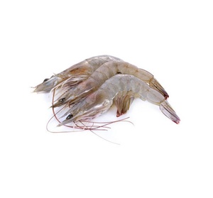 Camarones Vannamei Blancos Congelados de Alta Calidad, Criados en Granja para Procesamiento Industrial de Alimentos e Importadores de Mariscos - Product Image 1