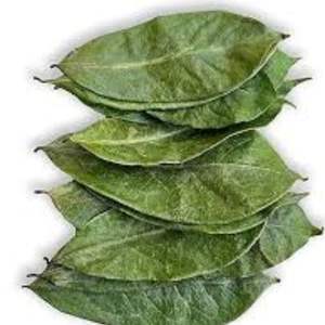 ทุเรียนเทศธรรมชาติบริสุทธิ์สำหรับชาสมุนไพรใบชาเขียวแบบแห้ง - Product Image 3