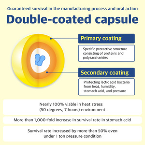 Dr. by calming Probiotics 2G * 30EA สุนัขวิตามินและอาหารเสริมการดูแลสุขภาพและลูกสุนัขโปรไบโอติกสำหรับการจัดการความเครียดสำหรับสุนัข - Product Image 5