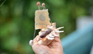 Modèle de bateau coquillage naturel fait à la main exclusif en quantité limitée Ornements artisanaux en coquillage précieux de la nature fabriqués au Vietnam - Product Image 2