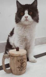 Tasse à thé ou à café en bois avec couvercle pour boissons froides et chaudes - 130 ml - Bois de sheesham massif (mat) - Product Image 4