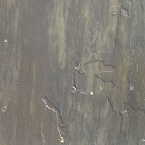 แผ่นหินทรายดำชิตตอร์ขนาดใหญ่ ผิวขัดแบบแปรง ให้พื้นผิวกันลื่นและทนทานสำหรับปูพื้นและบุผนัง - Product Image 6