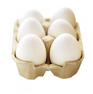 Huevos para Incubación de Pollos Cobb 500 y Ross 308 |   Huevos Fértiles en Venta - Product Image 6