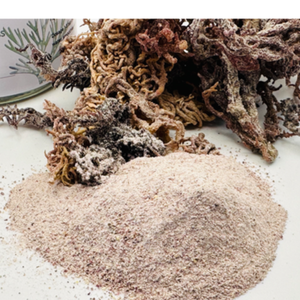 ผงมอสทะเลธรรมชาติ/100% สกัดมอสไอริช (chondrus Crispus) /ms.jessi - Product Image 3