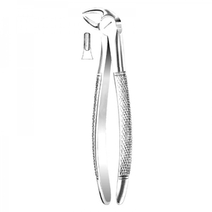 ENGLISH PATTERN FORCEPS - Product Image 2