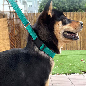 Collares de Perro Decorativos de Nailon Reflectantes Ajustables Personalizados por el Fabricante, Antipérdida para la Noche - Product Image 6