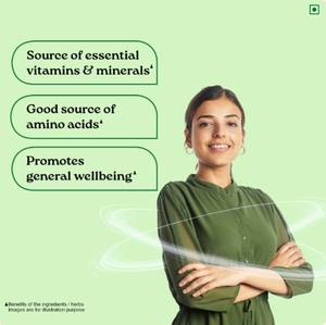 Polvo de Moringa Orgánico de India, Proporciona Aminoácidos, Vitaminas y Minerales de Hojas de Moringa Cultivadas Orgánicamente. - Product Image 4