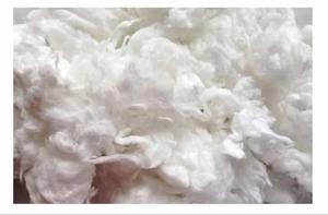 Residuos de Hilo de Algodón Peinado 100% Algodón, Color Blanco Leche, 18-21 mm, Bajo Contenido de Residuos 0-0.5%, para Hilos OE y Algodón Quirúrgico - Product Image 2