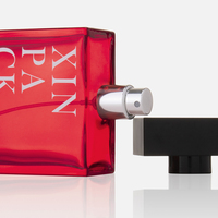 Flacons de parfum rectangulaires en verre mat rouge gravé de luxe 120 ml, vides, personnalisables, écologiques avec bouchon doré