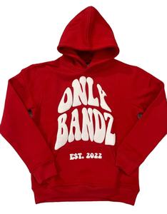 Sudadera con Capucha de Alta Calidad, 3D, para Hombre, de Felpa Gruesa de 500 GSM, Corte Regular, con Cierre, Logotipo Personalizado Bordado - Product Image 3