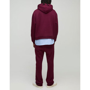 Sweats à capuche pour hommes personnalisés 100% coton Sweats à capuche vierges lourds Fabricant de vêtements pour hommes 2025 - Product Image 2