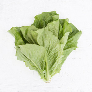 Fournisseur en vrac de laitues et légumes: feuilles, tiges et graines pour salades, soupes, sandwichs, wraps et grillades - Product Image 5