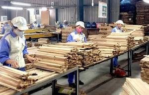 Madera Aserrada de Pino y Acacia al por Mayor, Tamaños de 1m/2m, la Mejor Calidad de M.I.T VIETNAM - Product Image 2